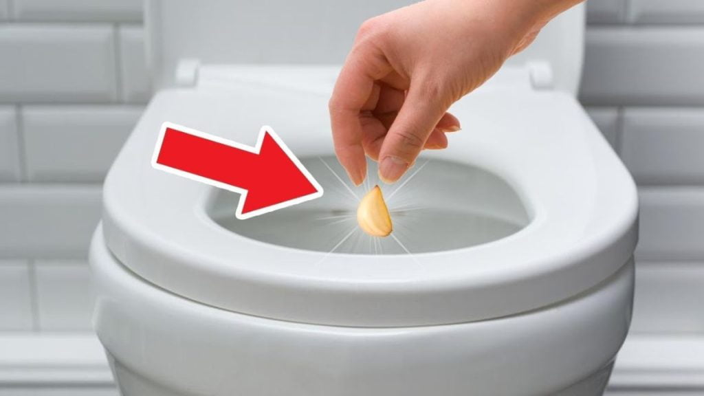 Cette astuce incroyable nettoie et désinfecte les WC rapidement !