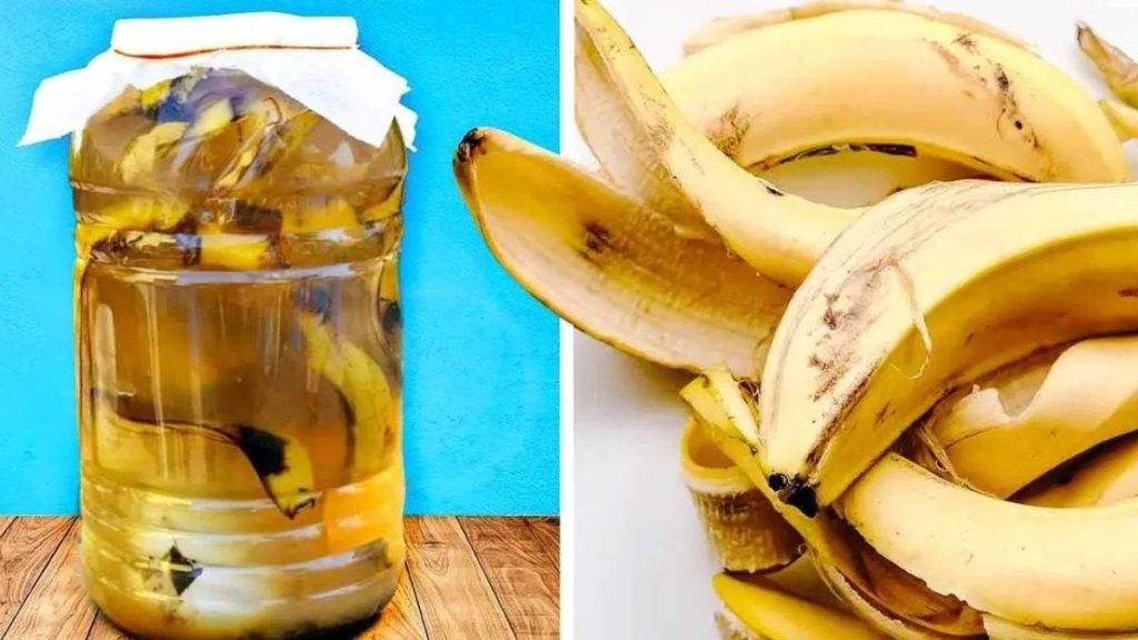 Ne jetez plus cette partie de la banane, elle « vaut de l’or » utilisez là de ces façons très utiles