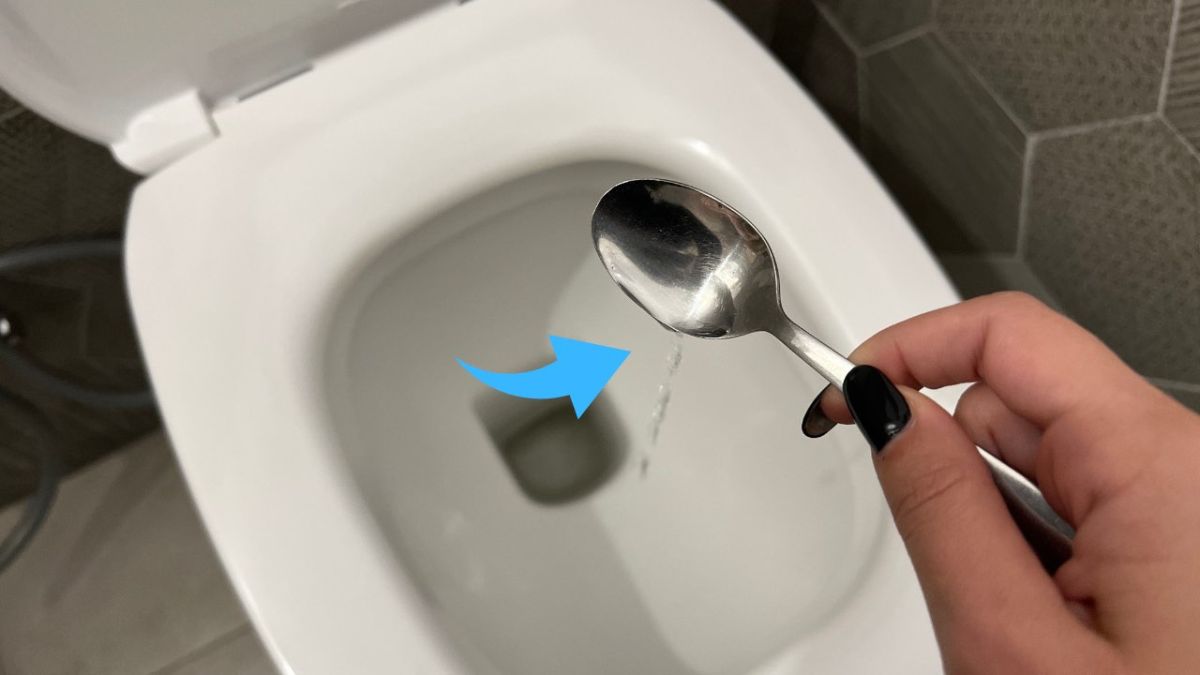 Odeur d’urine dans la salle de bains avec WC ? Voilà comment identifier sa source et l’enlever !